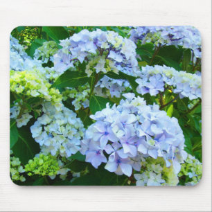 Blaues Hydrangea-Blumen-Garten Pastellmousepad Mousepad