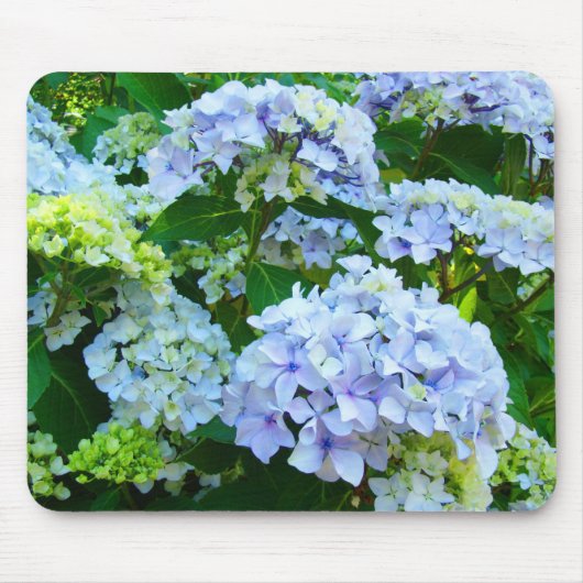 Blaues Hydrangea-Blumen-Garten Pastellmousepad Mousepad (Vorne)