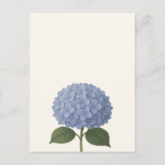 Blaues Hydrangea-Botanisches Illustrationsdesign Postkarte (Vorderseite)