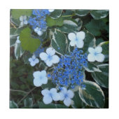 Blaues Hydrangea Fliese (Vorderseite)
