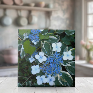 Blaues Hydrangea Fliese