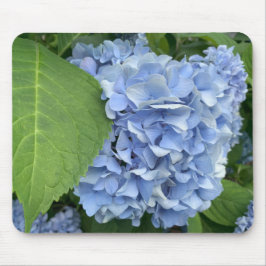 Blaues Hydrangea (Hydrangea macrophylla) Mousepad