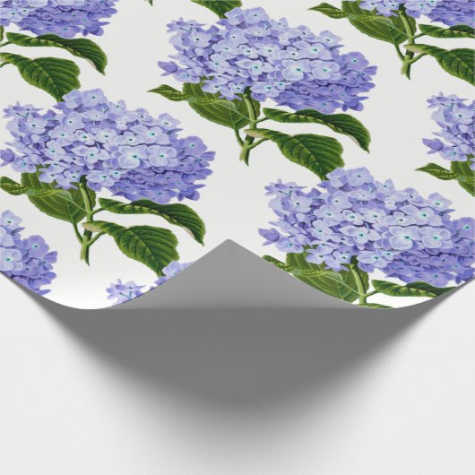 Blaues Hydrangea-Packpapier Geschenkpapier (Ecke)