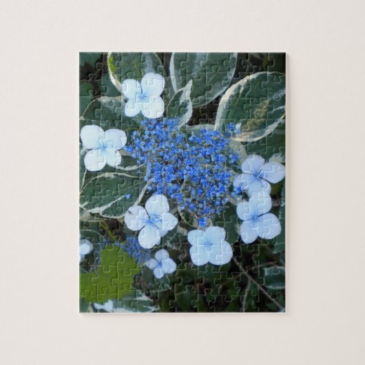 Blaues Hydrangea Puzzle (Vertikal)