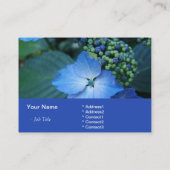Blaues Hydrangea Visitenkarte (Rückseite)