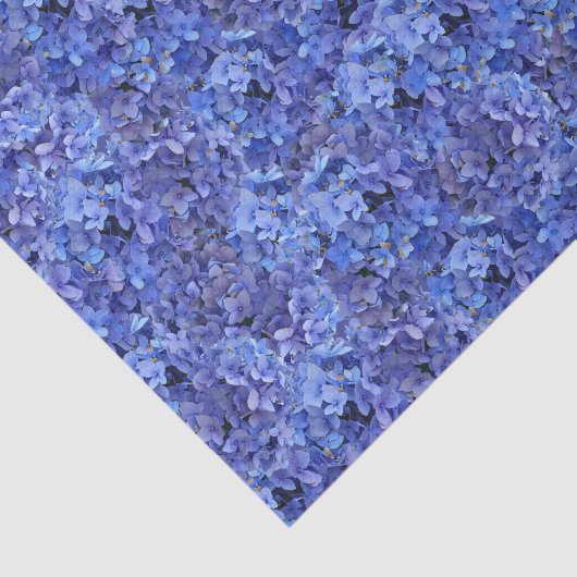 Blaues HydrangeaSeidenpapier Seidenpapier (Ausschnitt)