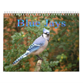 Blaues Jay 12 Monats-Kalender Kalender