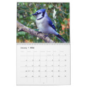 Blaues Jay 12 Monats-Kalender Kalender (Jan 2026)
