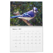 Blaues Jay 12 Monats-Kalender Kalender (Feb 2027)