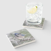 Blaues Jay, Cyanocitta cristata Steinuntersetzer (Seitenansicht)