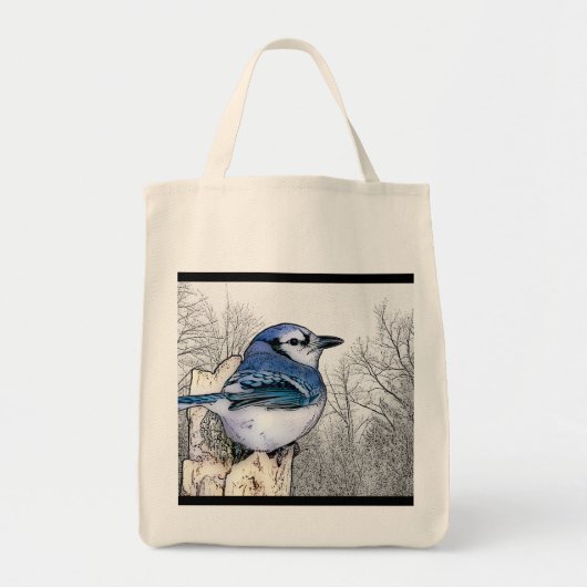 Blaues Jay, das Tasche zeichnet (Vorne)