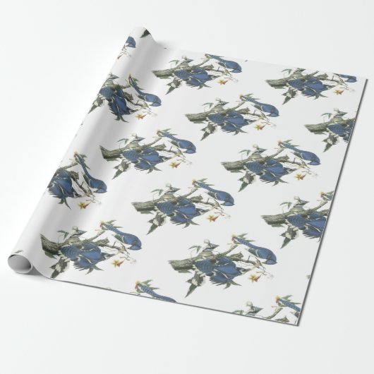 Blaues Jay durch Audubon Geschenkpapier (Ungerollt)