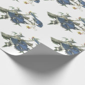 Blaues Jay durch Audubon Geschenkpapier (Ecke)