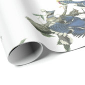 Blaues Jay durch Audubon Geschenkpapier (Rolleneckpunkt)