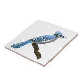 Blaues Jay Fliese (Seite)