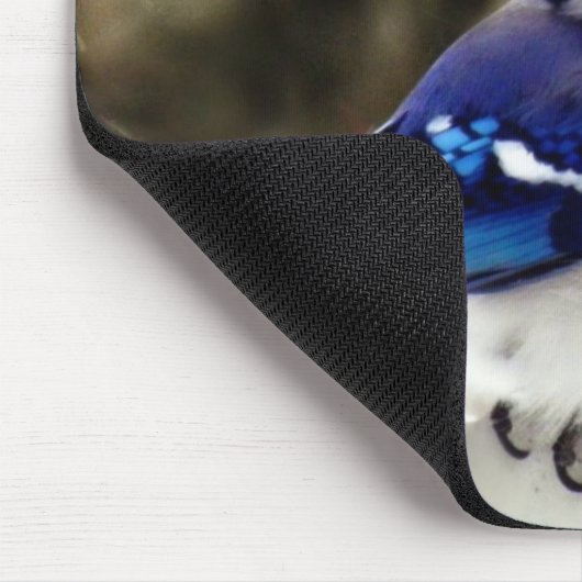 Blaues Jay-Foto Mousepad (Ecke)