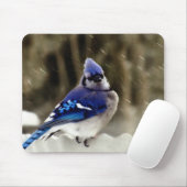 Blaues Jay-Foto Mousepad (Mit Mouse)