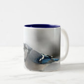 Blaues Jay-Foto Zweifarbige Tasse (VorderseiteRechts)