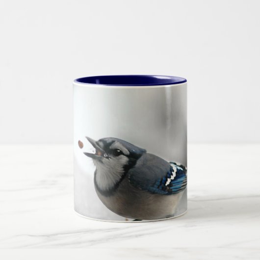 Blaues Jay-Foto Zweifarbige Tasse (Mittel)