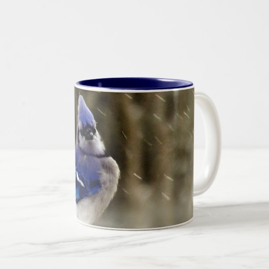 Blaues Jay-Foto Zweifarbige Tasse (VorderseiteRechts)