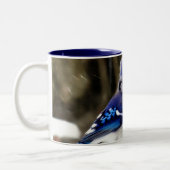 Blaues Jay-Foto Zweifarbige Tasse (Links)