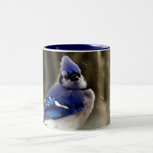 Blaues Jay-Foto Zweifarbige Tasse (Mittel)