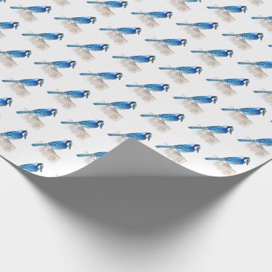 Blaues Jay Geschenkpapier (Ecke)