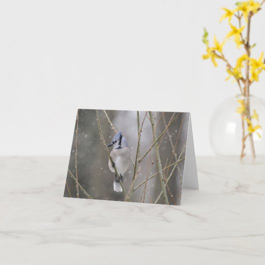 Blaues Jay im Schnee Karte (Gelbe Blume)