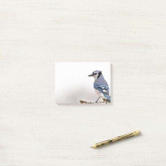 Blaues Jay im Winter Post-it Klebezettel (Auf Schreibtisch)