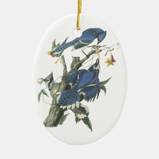 Blaues Jay, John Audubon Keramik Ornament (Vorne)