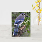 Blaues Jay Karte (Gelbe Blume)