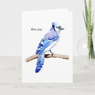 Blaues Jay Karte