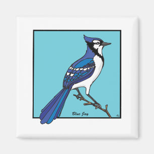 BLAUES JAY MAGNET