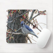 Blaues Jay Mousepad (Mit Mouse)