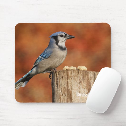 Blaues Jay Mousepad (Mit Mouse)
