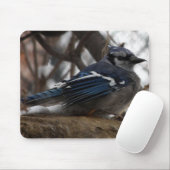Blaues Jay Mousepad (Mit Mouse)