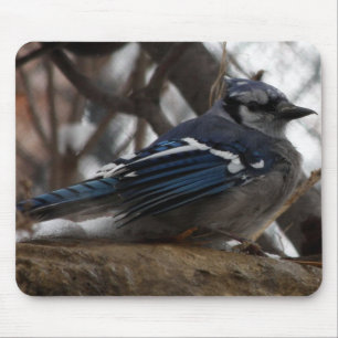 Blaues Jay Mousepad