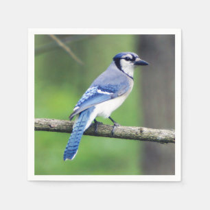 Blaues Jay-Papierserviette Serviette