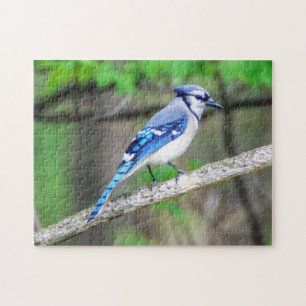 Blaues Jay-Puzzlespiel Puzzle