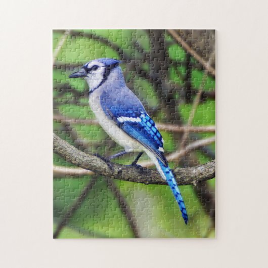 Blaues Jay-Puzzlespiel Puzzle (Vertikal)