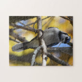 Blaues Jay-Puzzlespiel Puzzle (Horizontal)