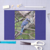 Blaues Jay-Seidenpapier Seidenpapier (Handwerk)