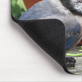 Blaues Jay und Blumen Mousepad (Ecke)