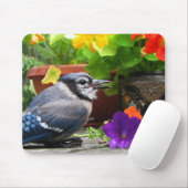 Blaues Jay und Blumen Mousepad (Mit Mouse)