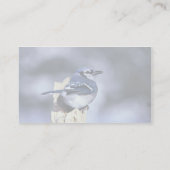 Blaues Jay Visitenkarte (Rückseite)