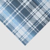 Blaues Kariertes Gewebe Seidenpapier (Ausschnitt)