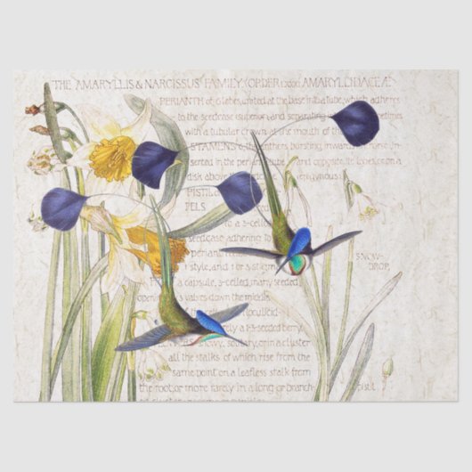 Blaues Kolibri-Vogel-Narzissen-Blumen-Seidenpapier Seidenpapier (Vorderseite)