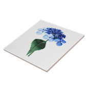 Blaues Lacecap Hydrangea Fliese (Seite)