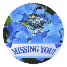 Blaues Lacecap Hydrangea