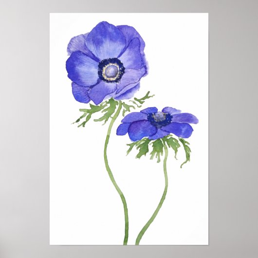 Blaues lila Anemon Blume Aquarell Poster (Vorne)